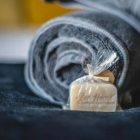 Le Nid - Hyper Centre - 25 Min Puy Du Fou 公寓